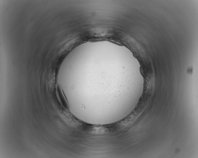 X0000097300376200802291819