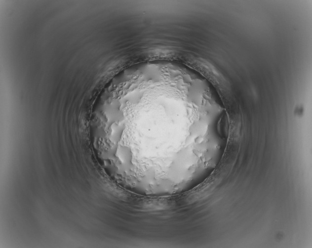 X0000097300377200802291819