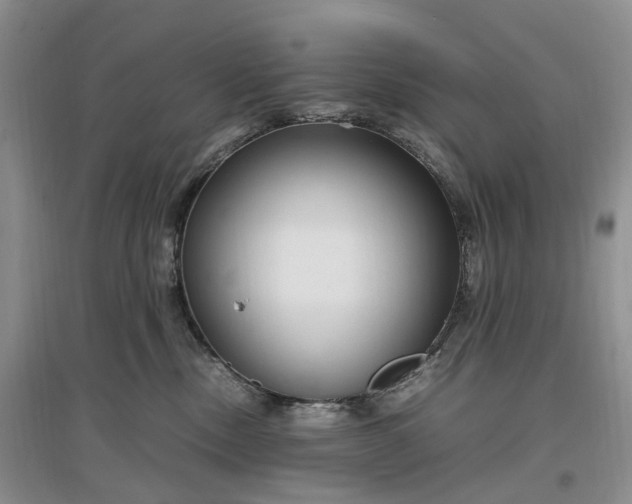 X0000097300378200802291819