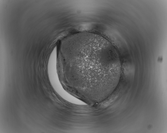 X0000097300380200802291819