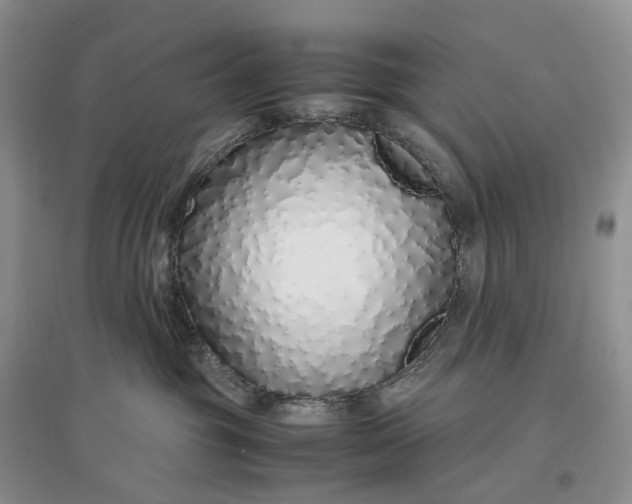 X0000097300381200802291819