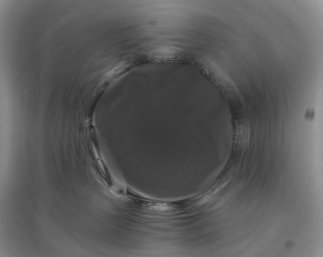 X0000097300383200802291819