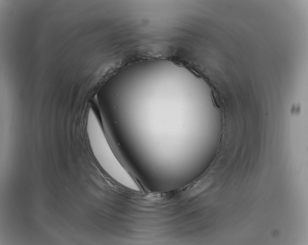 X0000097300384200802291819