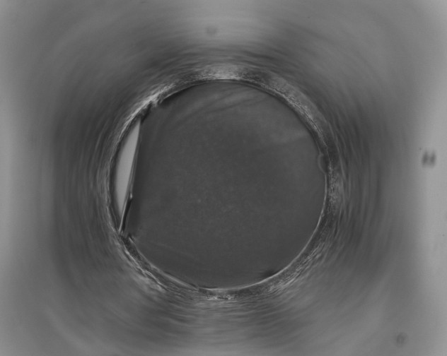 X0000097300386200802291818