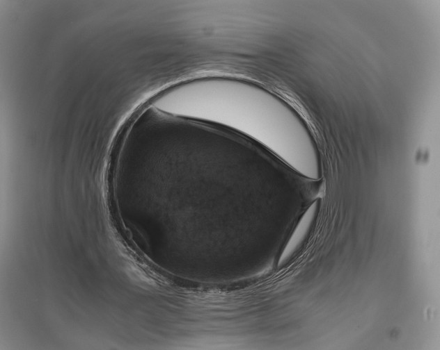 X0000097300387200802291818