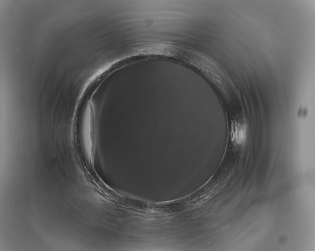 X0000097300388200802291818