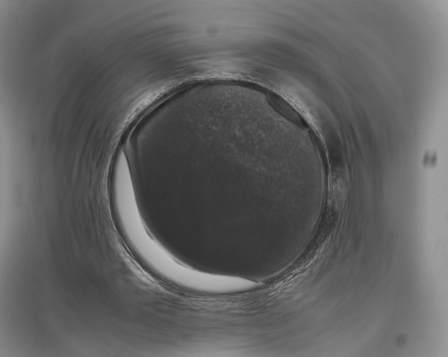 X0000097300389200802291818