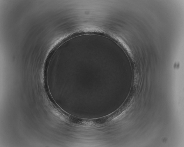 X0000097300391200802291818