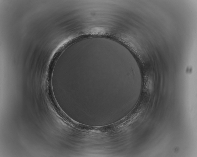 X0000097300392200802291818