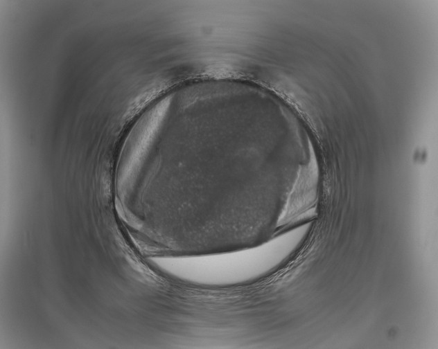 X0000097300393200802291818