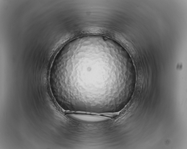 X0000097300394200802291818