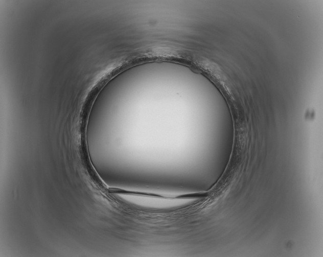 X0000097300395200802291818