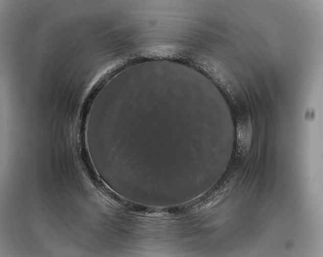 X0000097300396200802291818