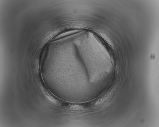 X0000097300397200802291818