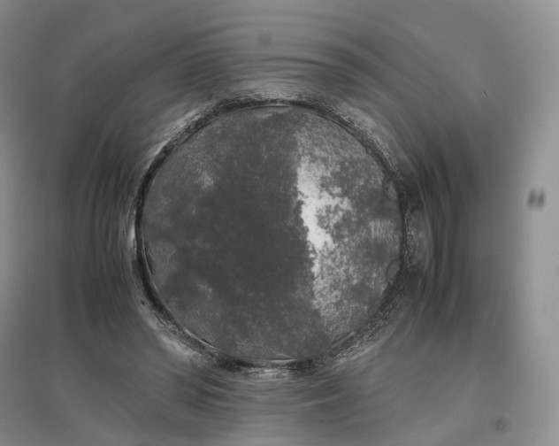 X0000097300398200802291818