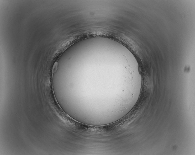 X0000097300401200802291818