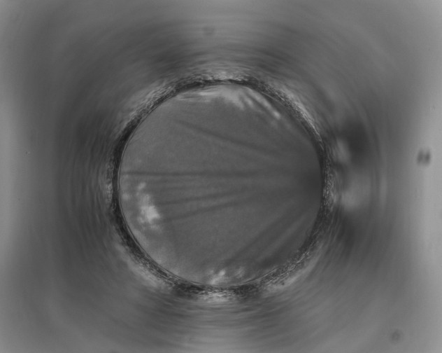 X0000097300402200802291818