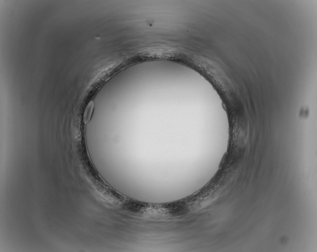 X0000097300403200802291818