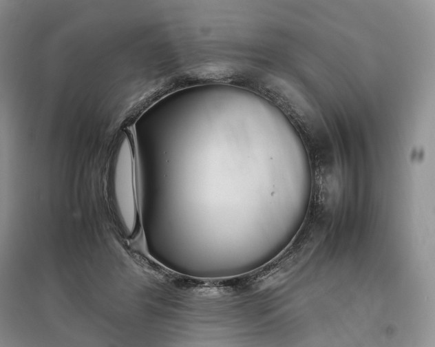 X0000097300404200802291818