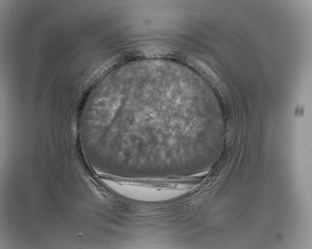 X0000097300405200802291818