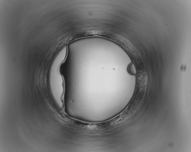 X0000097300406200802291818