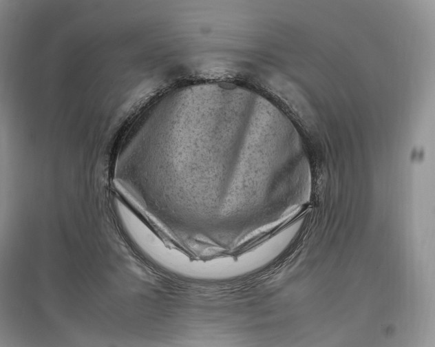 X0000097300407200802291818