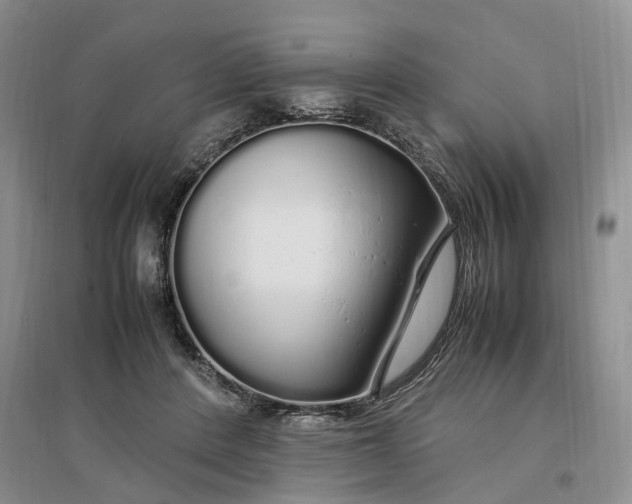 X0000097300408200802291818