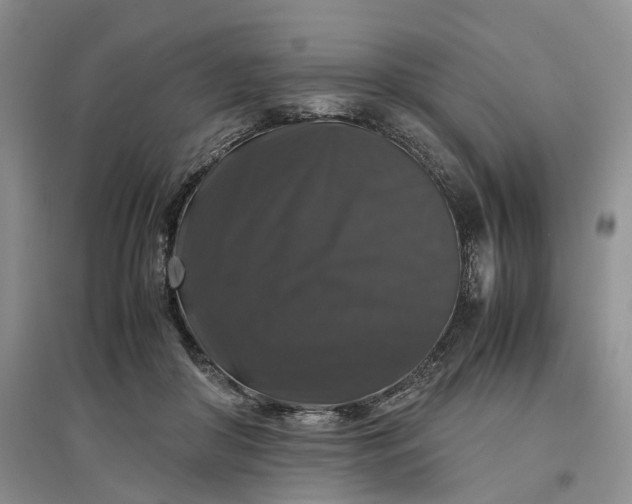 X0000097300410200802291818