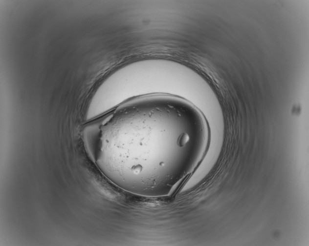 X0000097300411200802291818