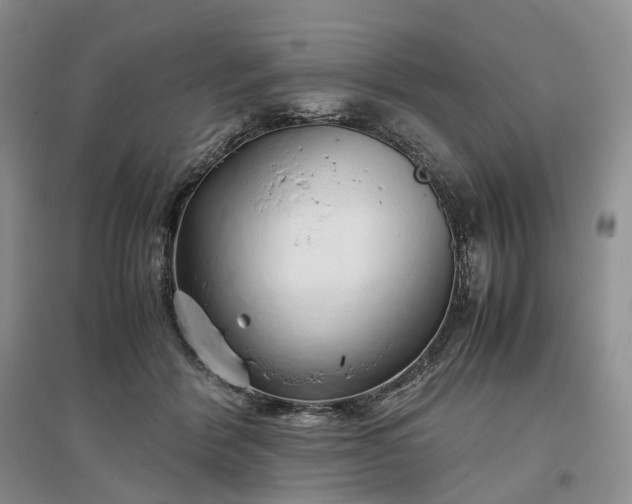 X0000097300412200802291818