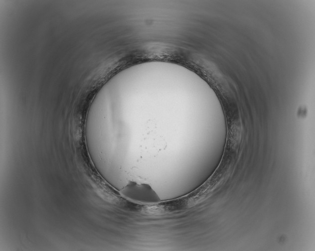 X0000097300413200802291818