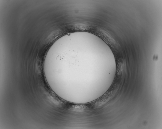 X0000097300414200802291818