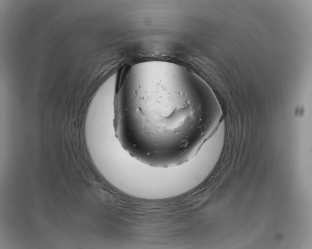 X0000097300415200802291818