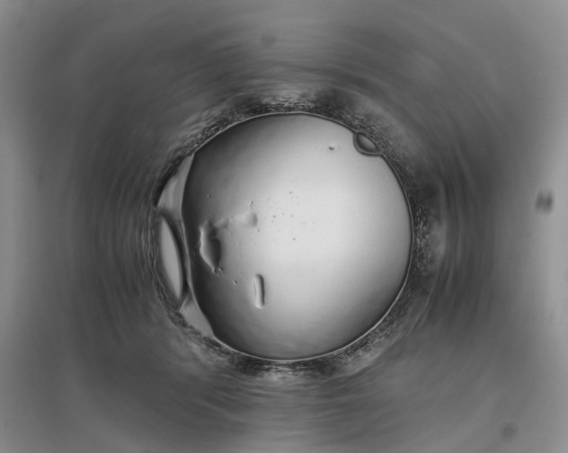 X0000097300416200802291818