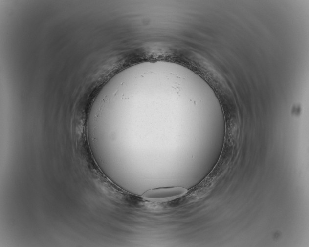 X0000097300417200802291818