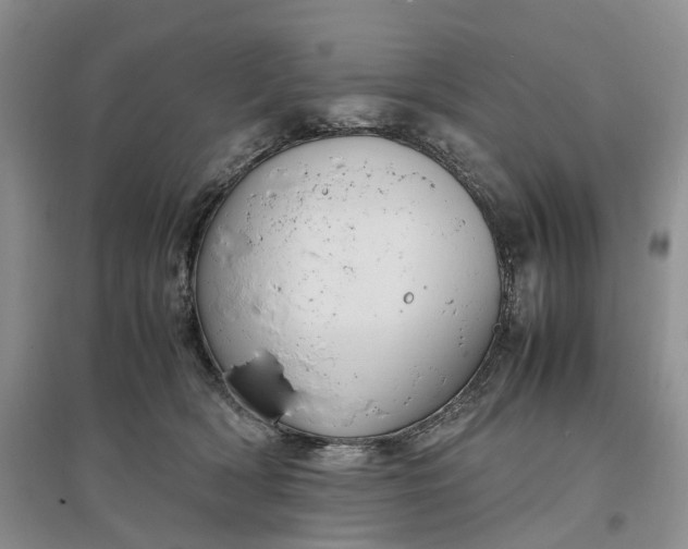 X0000097300418200802291818