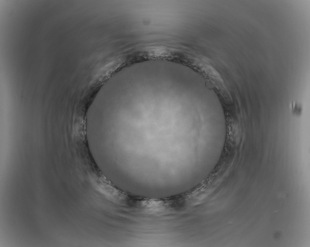 X0000097300419200802291818