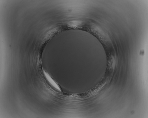 X0000097300420200802291818