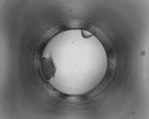 X0000097300422200802291818