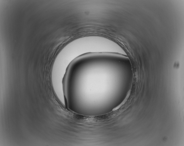 X0000097300423200802291817