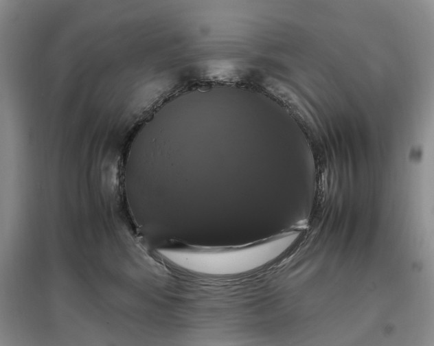 X0000097300424200802291817