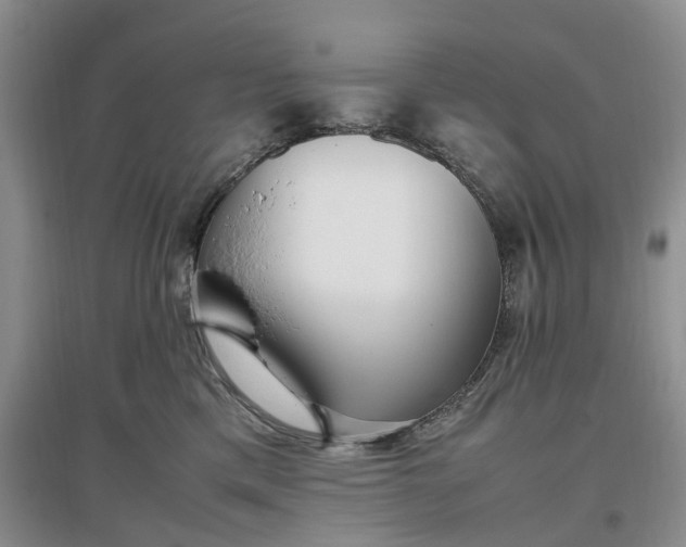 X0000097300425200802291817