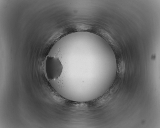 X0000097300426200802291817