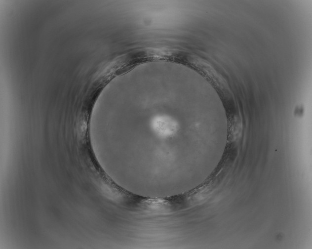 X0000097300427200802291817