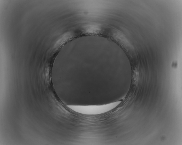 X0000097300428200802291817