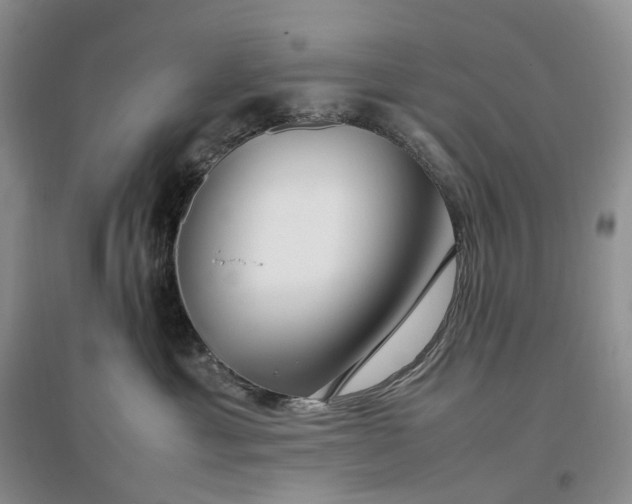 X0000097300429200802291817