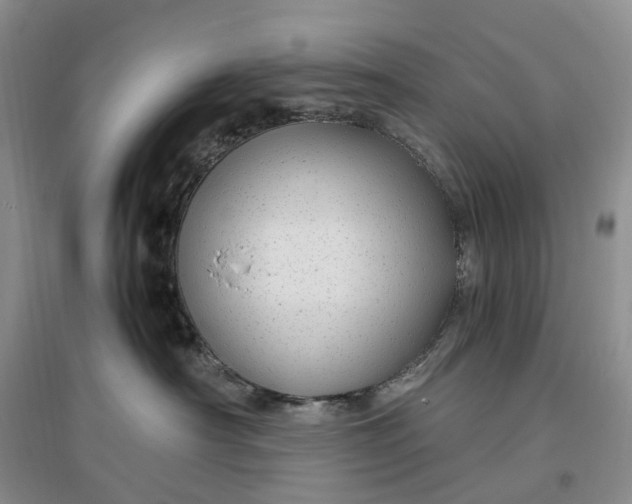 X0000097300430200802291817