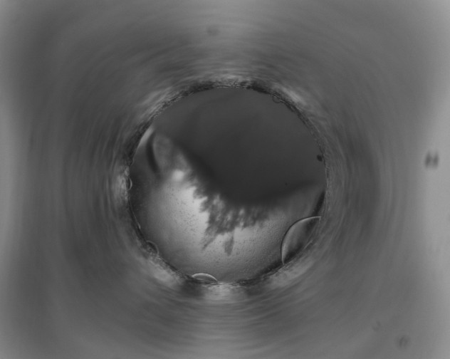 X0000097300432200802291817