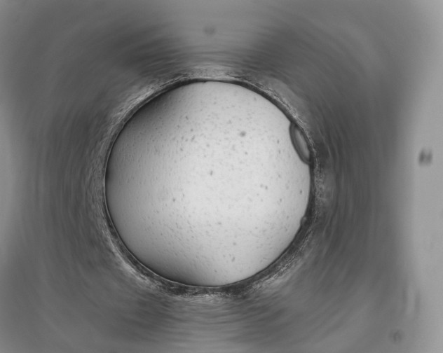 X0000097300433200802291817