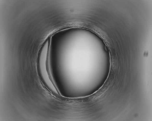 X0000097300434200802291817